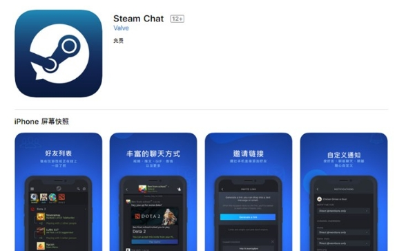 第2张-steam chat是什么意思-恩蓝科技