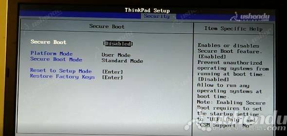 第2张-thinkpad t14进bios设置u盘启动（ThinkPad T14s笔记本如何通过bios设置u盘启动）-恩蓝科技