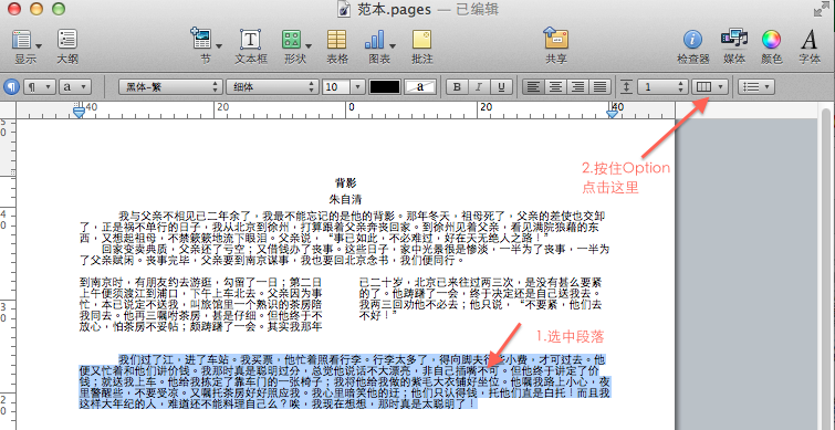 第1张-MacOS中Pages如何分栏?MacOS使用Pages的分栏技巧-恩蓝科技