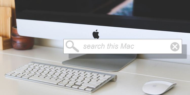 第1张-Mac怎么使用聚焦搜索? Mac怎么使用Spotlight搜索-恩蓝科技