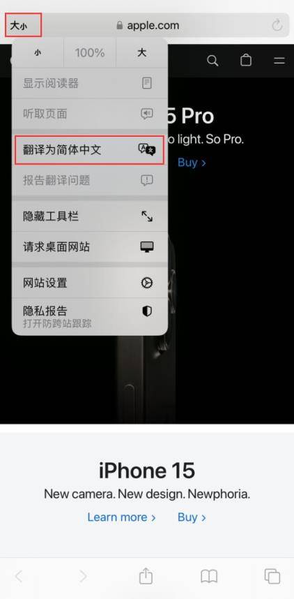 第1张-iPhone浏览器如何设置多种翻译语言 iPhone翻译语言-恩蓝科技